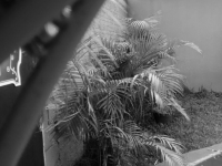 História de Superação