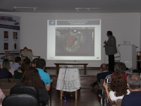 Sonnar Day Imagem 2017