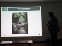 Sonnar Day Imagem 2017