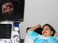 Sonnar Day Imagem 2017